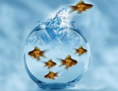 Ma allora mi dis-socio!