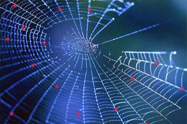 La privacy on line. Quali regole?