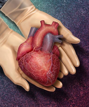 A rischio il 50% della raccolta fondi in Italia.