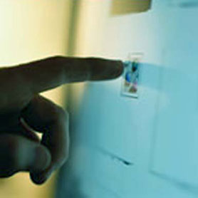 Tecnologia e Comunicazione nel futuro della Pubblica Amministrazione.