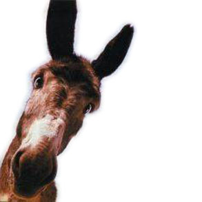 Acquisti on line e sistemi di pagamento: a volte è una questione di dati personali.