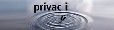 La Privacy ed il Fattore Y.