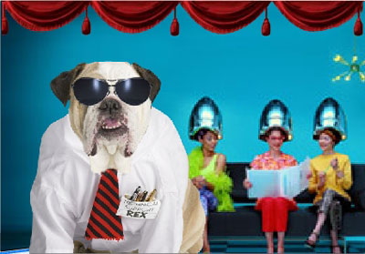 Una lettera da un cane?